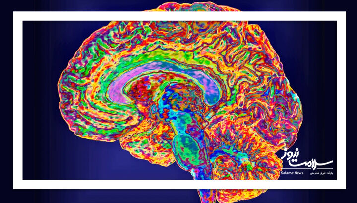 افسردگی پیش از شروع، در مغز پیداست!