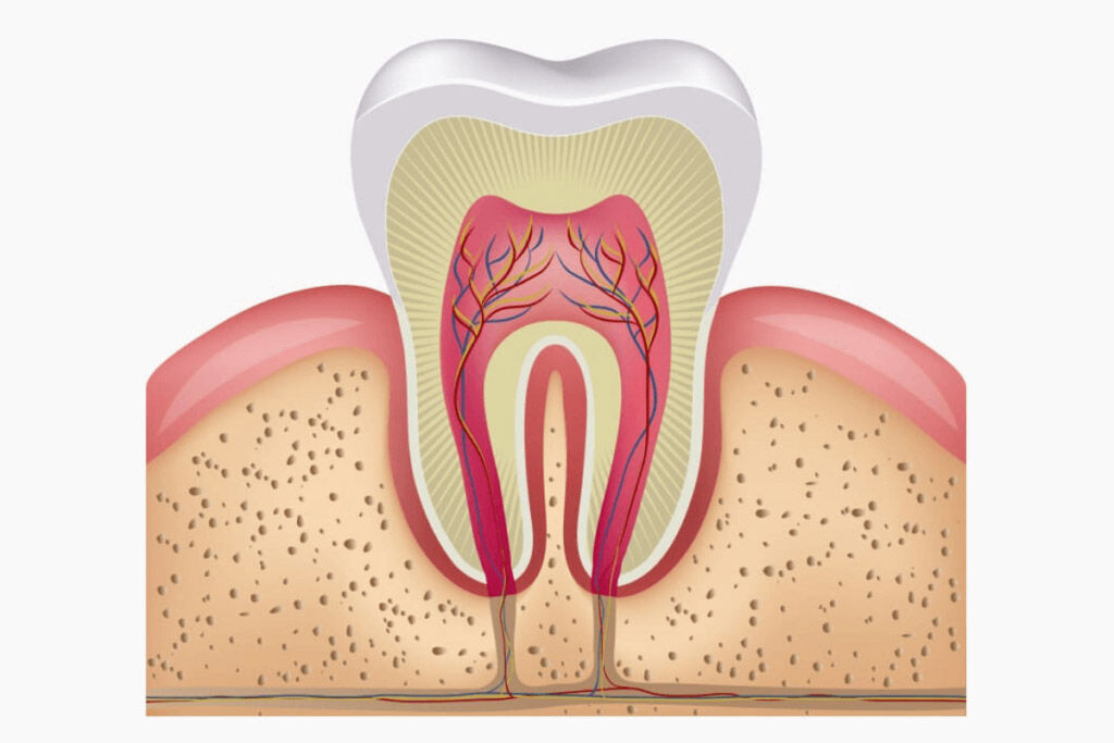 بررسی نقش فاکتورهای ژنتیکی در دندان درد و حساسیت دندان | دکتر صفورا امامی