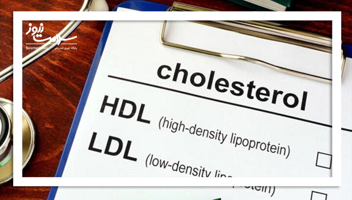 ۵ غذای زمستانی و دشمن کلسترول بد (LDL)