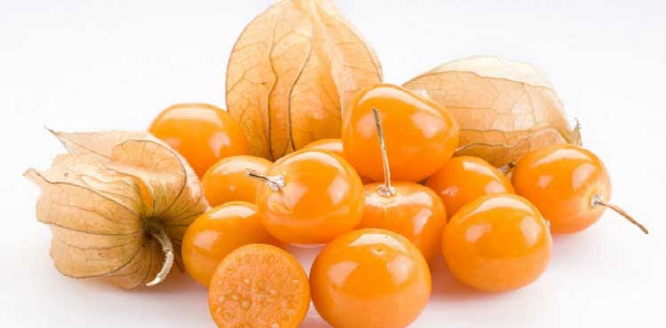 میوه فیسالیس