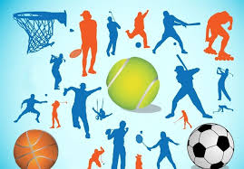بوشهر| آمادگی بوشهر برای میزبانی در 12 رشته ورزشی