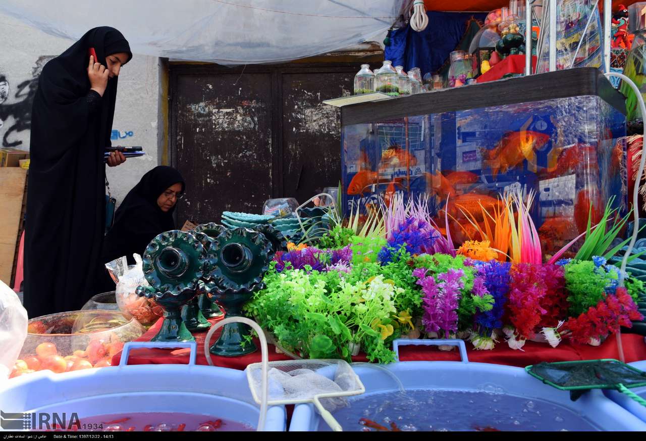 فارس| شیراز در استقبال بهار