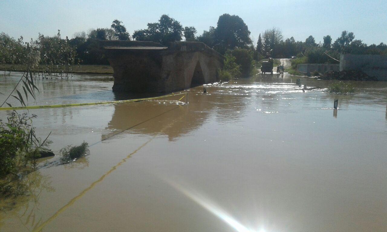 مازندران| کشاورزان قربانی سیلاب جویبار
