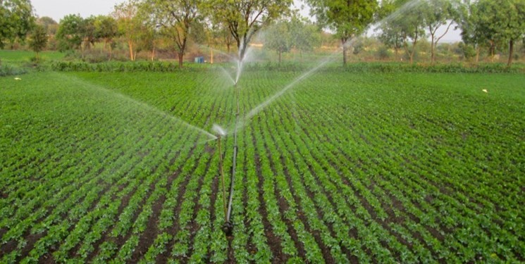 آبیاری 4 هزار هکتار از اراضی کشاورزی قم با شیوه های نوین