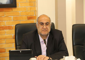 کرمان| لزوم استفاده از ظرفیت‌ها در قالب شورای توسعه و امنیت پایدار