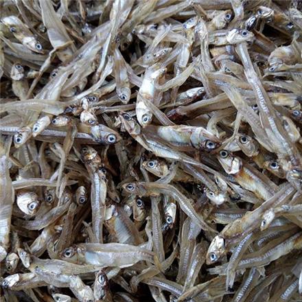 هرمزگان| صادرات 3200 تن ماهی خشک از جزیره قشم