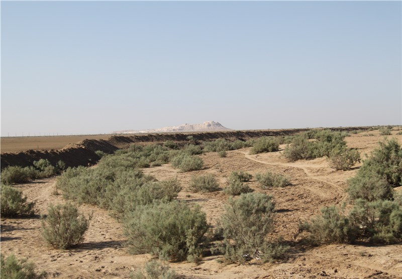 گلستان| ۳۰۰ هزار هکتار اراضی گلستان در معرض بیابانی شدن است
