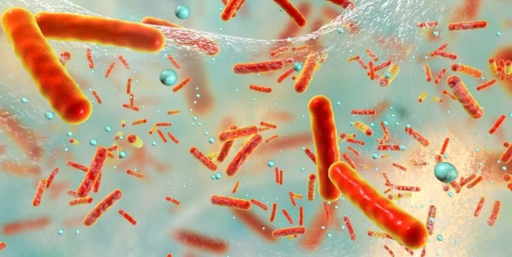 آنتی‌بیوتیک‌ها باکتری‌های روده را از بین می‌برند و عفونت را تشدید می‌کنند