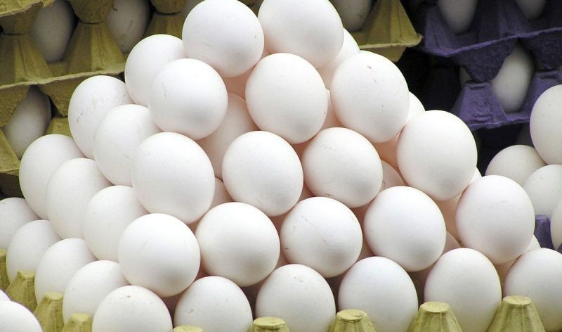 قم|نیمی از تخم‌مرغ تولیدی قم به خارج از استان صادر می‌شود