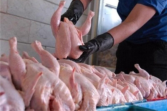 کهگیلویه و بویر احمد| توزیع مرغ گرم و یخی در بازار یاسوج