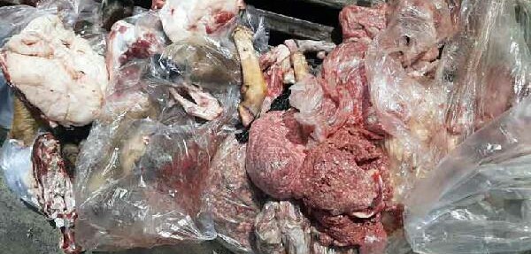 ۲۷۰ کیلوگرم گوشت غیر بهداشتی در کرمانشاه کشف و معدوم شد