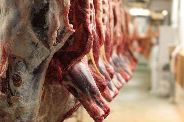 کاهش قیمت گوشت گوساله تا ۷۵ هزار تومان