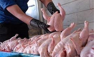مرغداران عامل افزایش قیمت/ هر کیلو مرغ ۱۴ هزار تومان