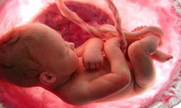 کارشناس سیما: چشم‌چرانی عامل سقط جنین است