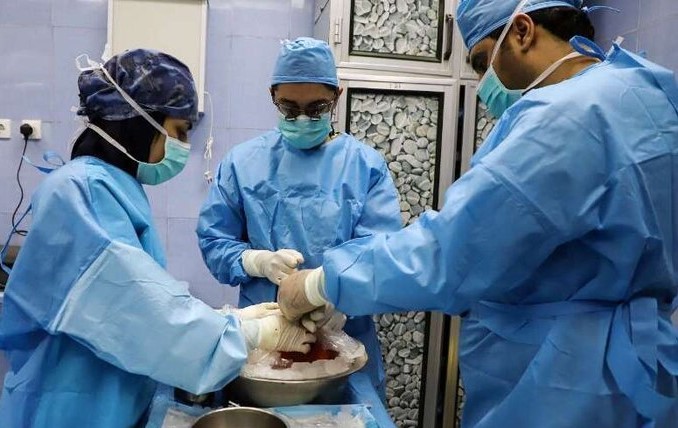 فم| صف 25 هزار نفره بیماران دریافت عضو در ایران