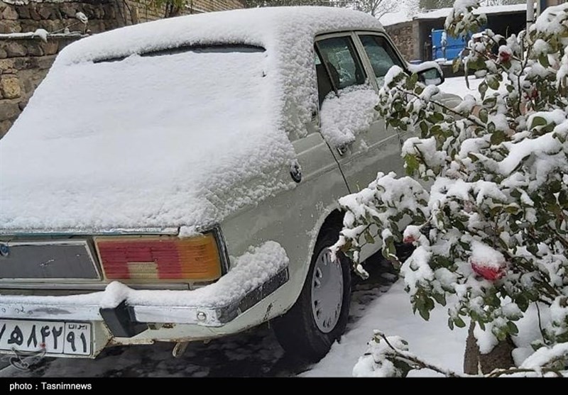 تصاویر/ "بارش برف" مناطق شمالی تهران را کاملاً سفیدپوش کرد!