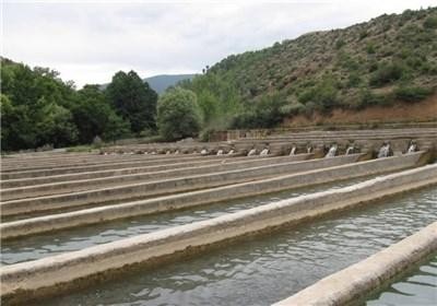 کردستان|    تولید سالانه ۳۸۰ تن ماهی