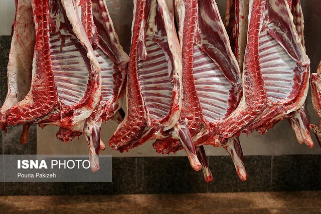 توزیع گوشت منجمد وارداتی با قیمت هرکیلو ۴۰ هزار تومان در آینده نزدیک