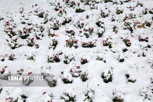خوزستان| پیش‌بینی بارش برف در شهرهای مرتفع استان
