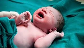 نوزاد نیم کیلویی در قم بدنیا آمد