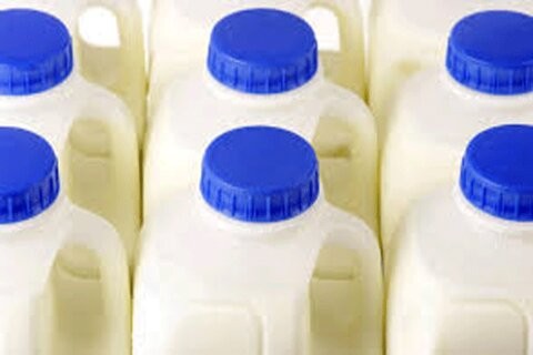 آلوده بودن شیرهای تولیدی شایعه‌ است/ نباید موارد جزء به کل تعمیم داده شود