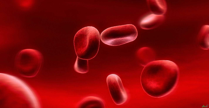 حقیقت‌هایی درباره کم خونی که باید بدانیم