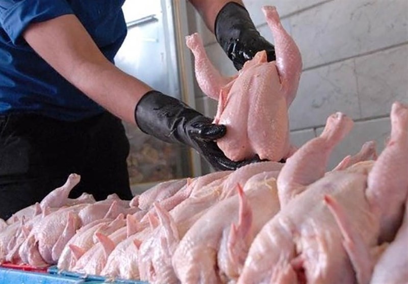 کاهش تقاضای مرغ در همدان قیمت را نزولی کرد