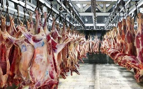 عرضه گوشت قرمز گرم با قیمت زیر ۱۰۰ هزار تومان درب قصابی‌ها