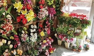 ﻿ کاهش ۵۰ درصدی قیمت گل/ خرید گل ۷۰ درصد افت کرد