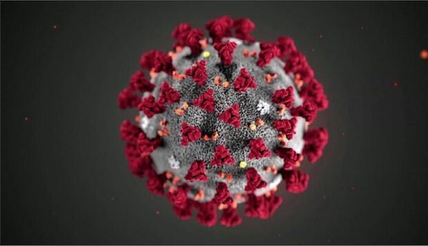 شناسایی ۹۰ مورد جدید ابتلاء به ویروس کرونا در فارس