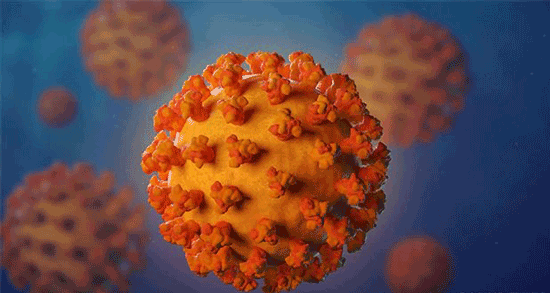 آشنایی با ۳ نوع مختلف ویروس کرونا