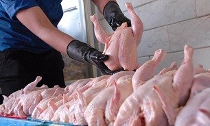 کاهش قیمت مرغ در نخستین روز ماه مبارک رمضان