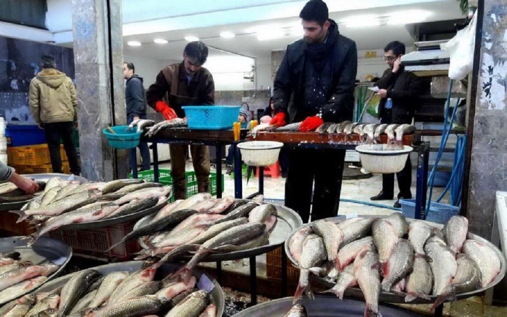 گران شدن قیمت ماهی در بازار اصفهان