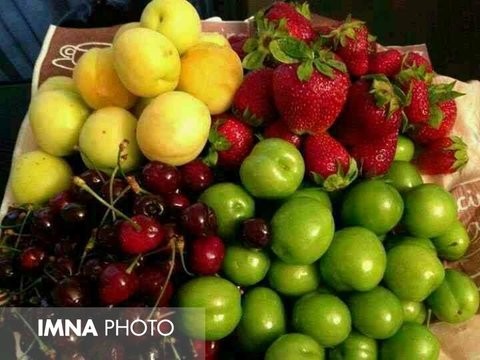 قیمت میوه و تره بار در بازار امروز ۳۱ اردیبهشت