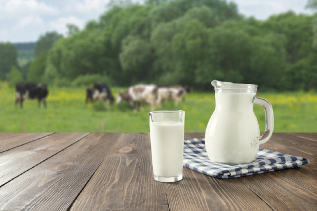 ۸۰ درصد محصولات لبنی تغییر قیمت نداشتند؛ استفاده از وایتکس در شیر صنعتی خلاف واقع است