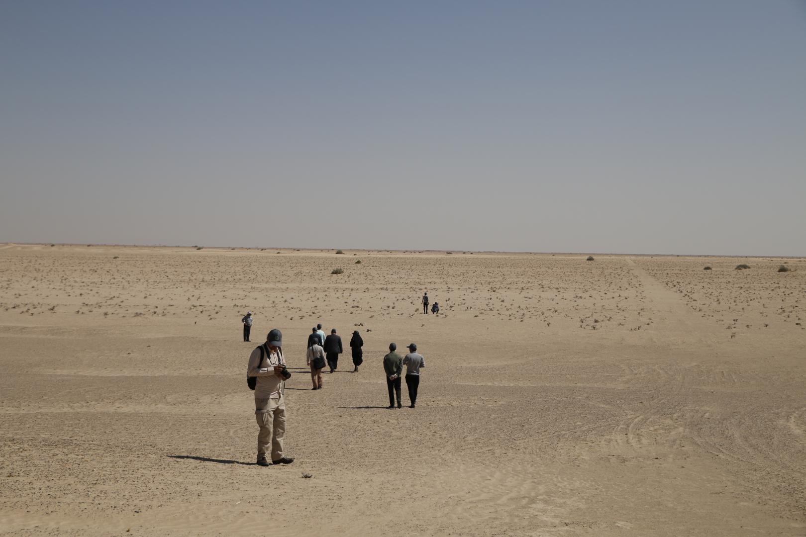 بازدید رسانه ای از مراتع بیابانی در قم به روایت تصویر