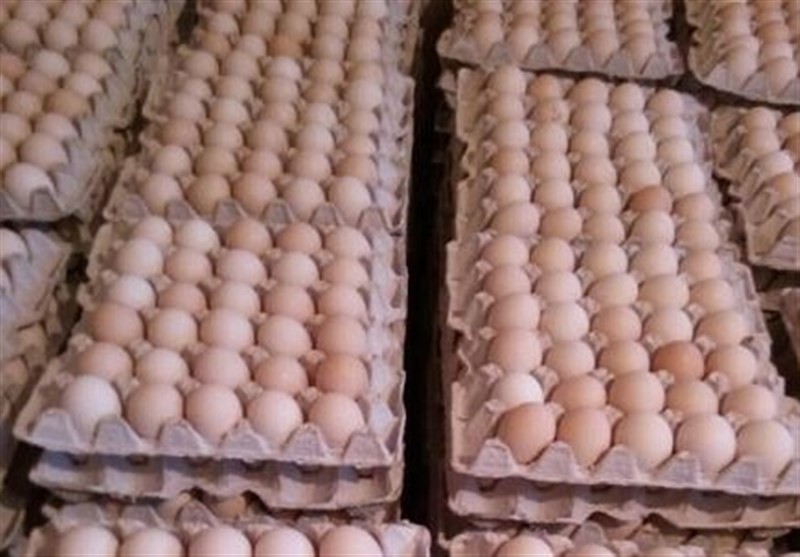 قیمت هر شانه تخم‌مرغ به ۲۸ هزار تومان رسید/ ۱۱ هزار تومان بالاتر از نرخ مصوب