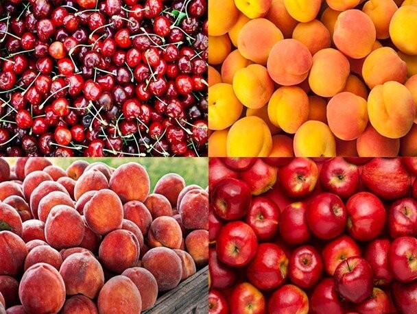 قیمت برخی میوه‌های تابستانه ۸۵ درصد کاهش یافت