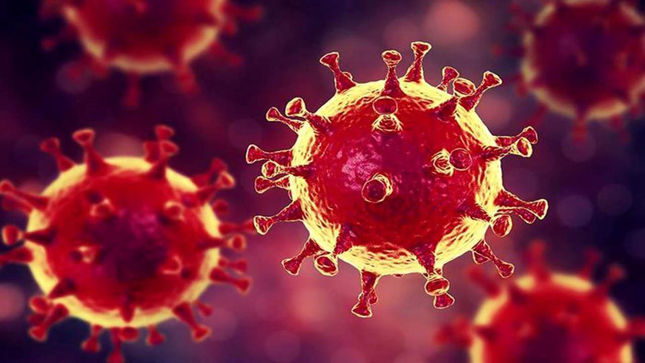 ۸۰ درصد افراد آلوده به ویروس کرونا ناقلین سالم هستند