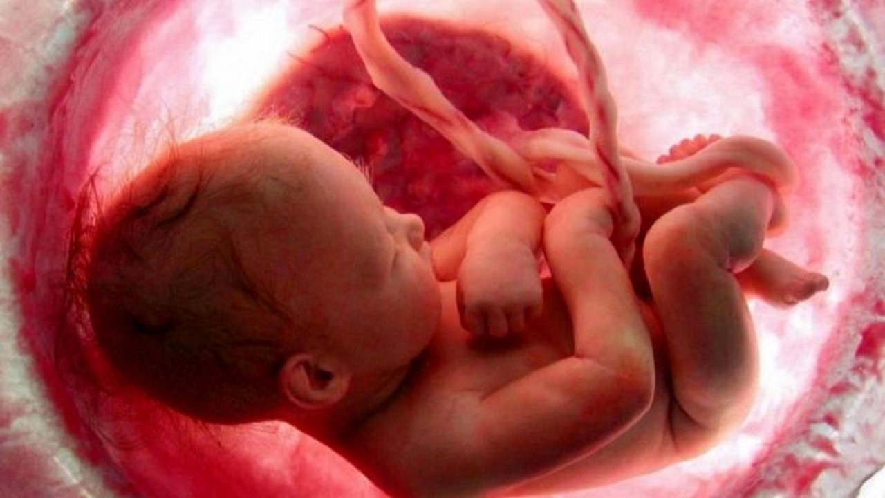 ۱۳ درصد مرگ مادران ناشی از سقط جنین زیرزمینی است