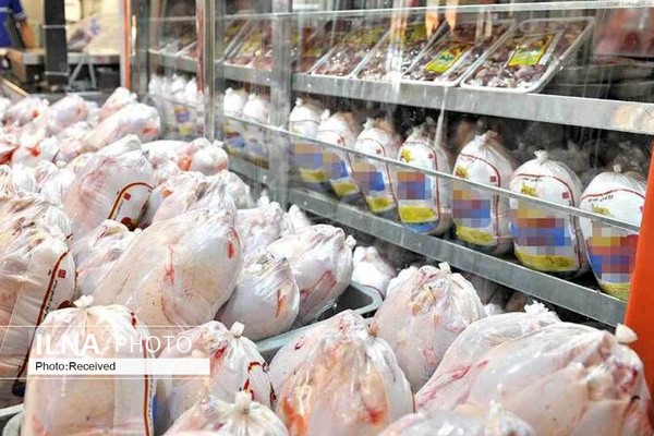 قیمت مرغ کاهشی شد/ کنجاله سویا ۶۵۰۰ تومان بیش از نرخ مصوب به دست مرغداران می‌رسد