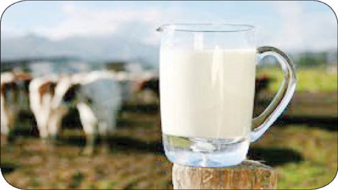 مزایای پروتئین شیر چیست؟