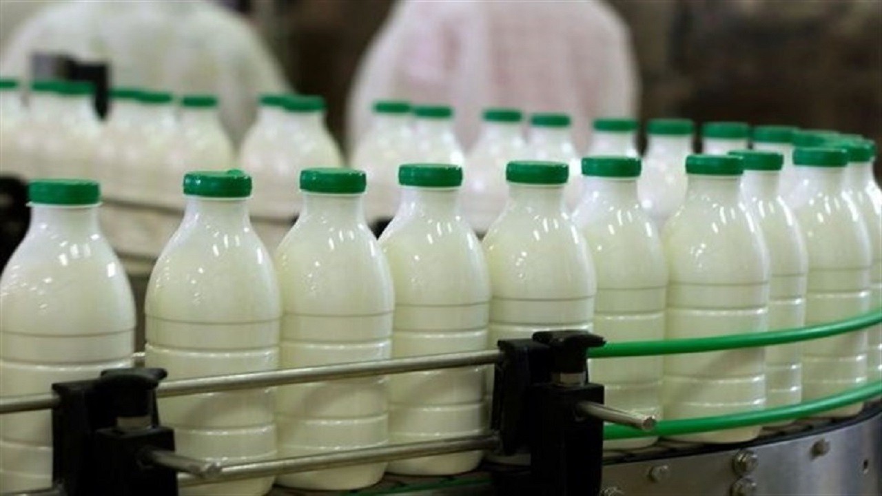 شیر تو شیر بازار شیر/ از گلایه خریداران شیر تا اعتراض دامداران
