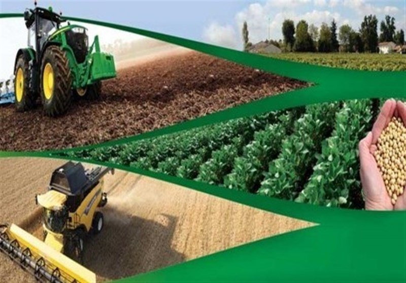 قیمت نهاده‌های کشاورزی همه را نگران کرده است/ظرفیت چهار محصول گلخانه‌ای کشور برای صادرات