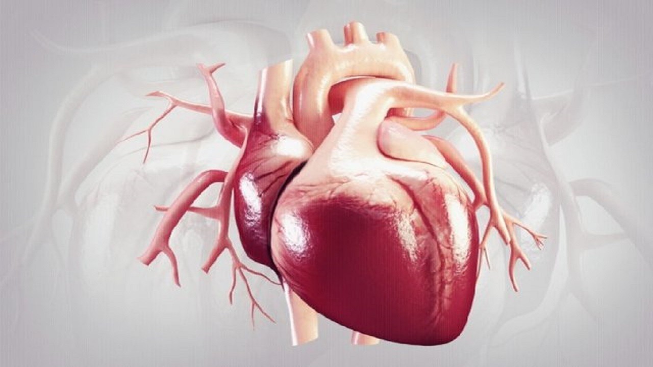 عوامل زمینه ساز در بیماری های قلبی را بشناسیم
