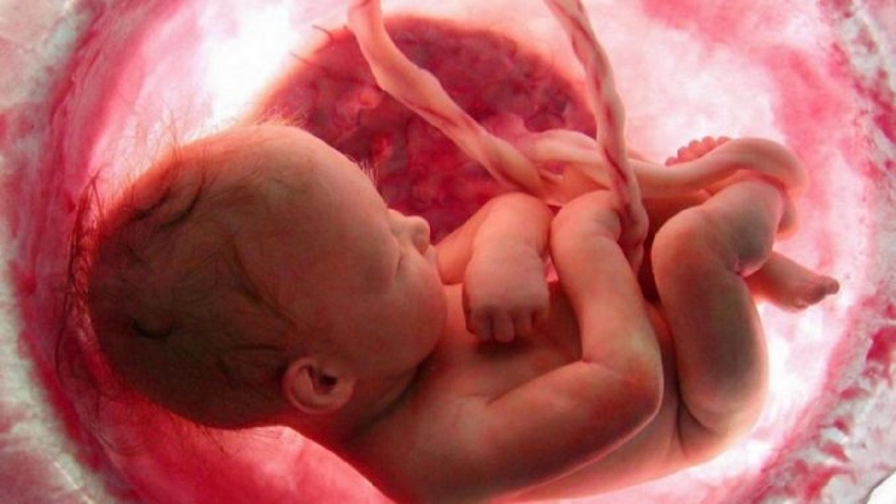 سقط جنین چه مجازاتی دارد؟