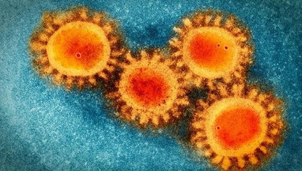 ﻿ کروناویروس تا ۹ ساعت روی پوست انسان زنده می ماند