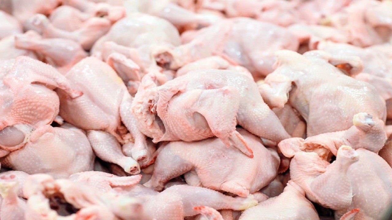 اسداله نژاد: بحران بازار مرغ در کمین است