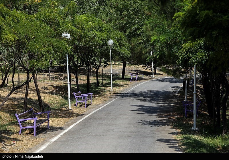ورودی ۳ پارک مهم شهر کرمانشاه مسدود شد