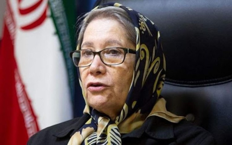 مینو محرز: رئیس جمهوری دستور تعطیلی تهران را صادر کرده اما استانداری موافقت نمی کند